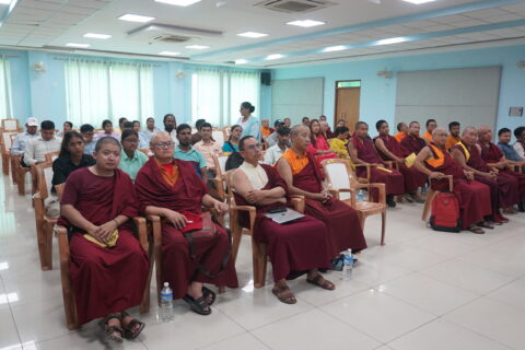 DSC00215 (1)